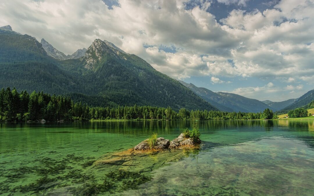 Spende für Nachhaltigkeit: Wasser